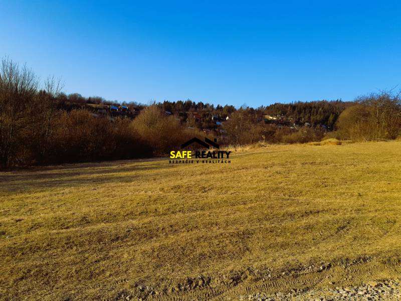20250219_162330.jpg